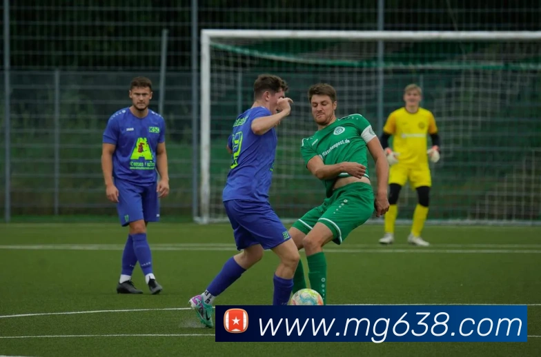 MG娱乐平台官网平台生态图