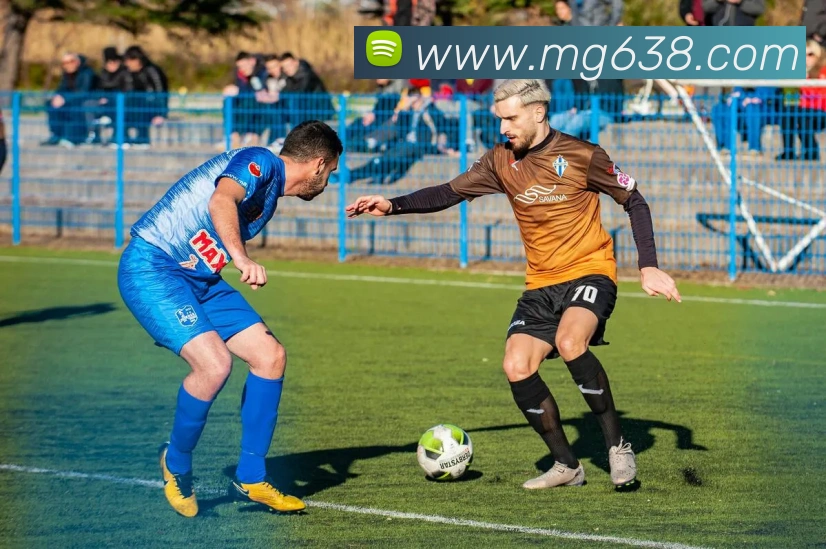 MG娱乐平台官网APP 封面图